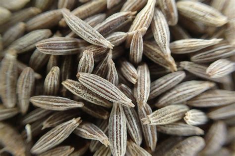 Free stock photo of cumin, cumin seeds, seeds