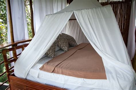 A Treehouse Stay in the Amazon Jungle