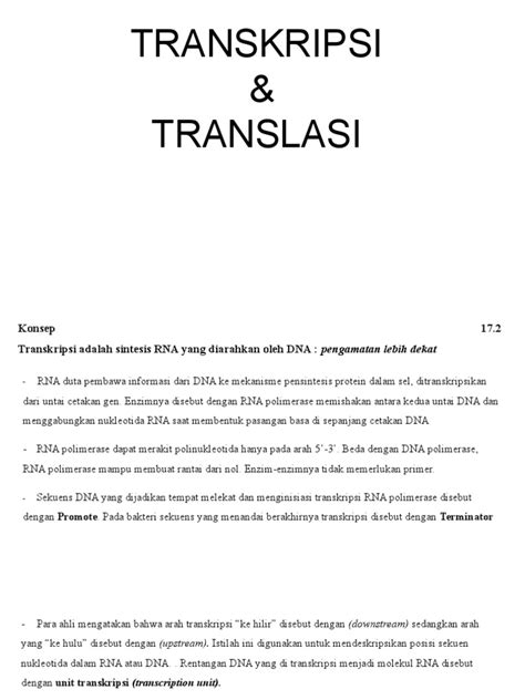 Transkripsi & Translasi Eukariotik | PDF