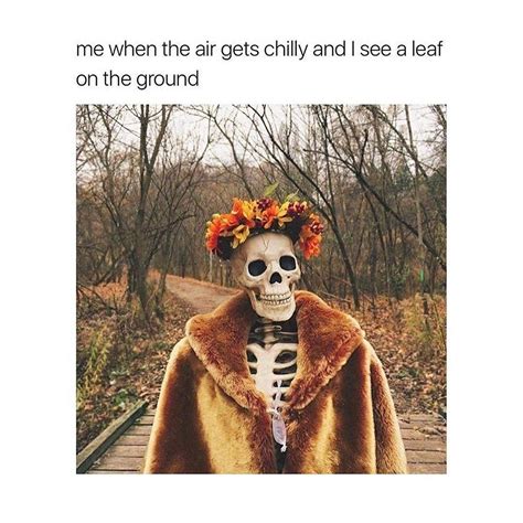 happy october follow (me) for more! | Memes, Shopping humor, Happy october