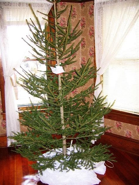 Old Fashioned Christmas Tree - 1940's style - OldHouseGuy Blog