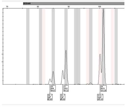 Solved 2. In the following electropherogram, the DNA analyst | Chegg.com