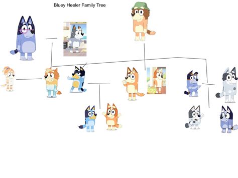 Bluey Heeler Family Tree (Outdated) by AmaniTheLion on DeviantArt