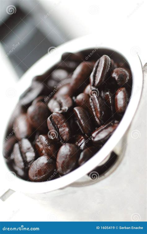 Espresso Beans stock image. Image of steamer, break, jamocha - 1605419