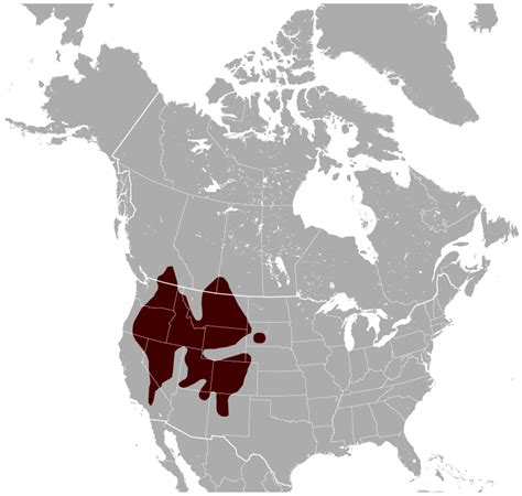 File:Yellow-bellied Marmot Marmota flaviventris distribution map.png ...