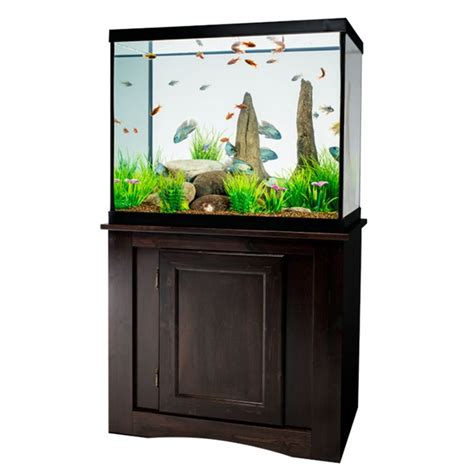 Ultimate 55 Gallon Aquarium Setup Guide - Fishxperts