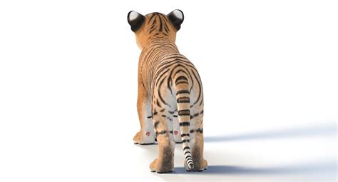 3D tiger animal mammal - TurboSquid 1394984