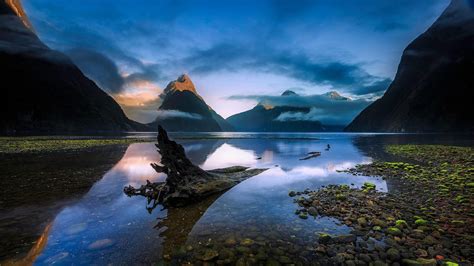 te anau, fjord, environment, national park, beauty in nature, water ...