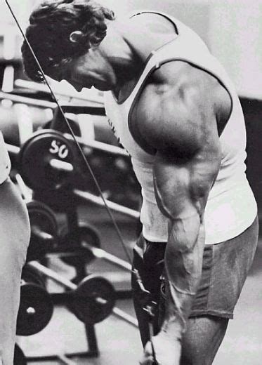 Build Killer Triceps – IronMag Bodybuilding & Fitness Blog