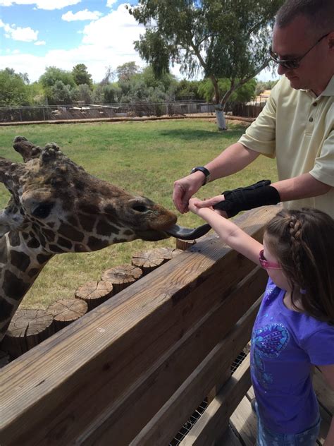 The Zoo Review! The Five Best Zoos and Wildlife Parks in Arizona