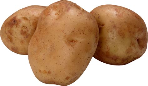 Russet burbank potato clipart - Clipground