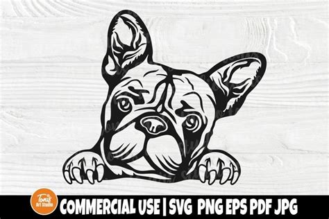 French Bulldog SVG, Frenchie SVG, Dog Breed Svg, (2180403)