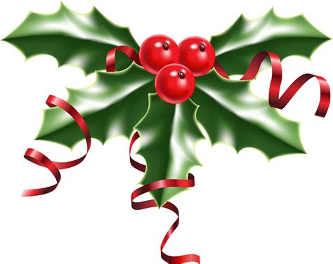 Common holly Christmas Clip art - Holly png download - 2400*1907 - Free Transparent Common Holly ...