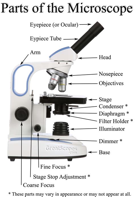 Glossary :: GreatScopes