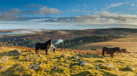 Culture Trip’s Guide to Dartmoor National Park