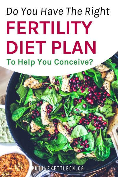 Do You Have the Right Fertility Diet Plan to Help You Conceive? | Fertility foods, Fertility ...