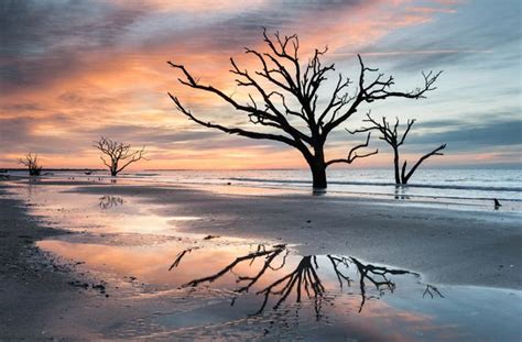 Botany Bay | Botany bay, Edisto island, Edisto beach