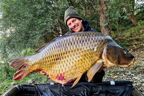 All you need to know about carp fishing on Lake Bled, Slovenia