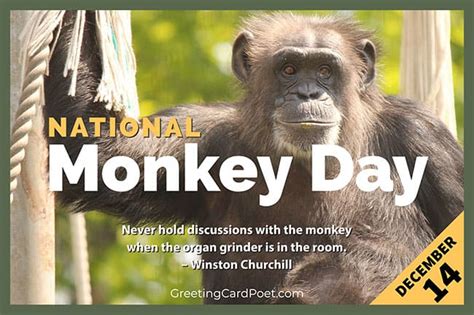 National Monkey Day - Jokes, Captions, Fun Facts, and Quotes