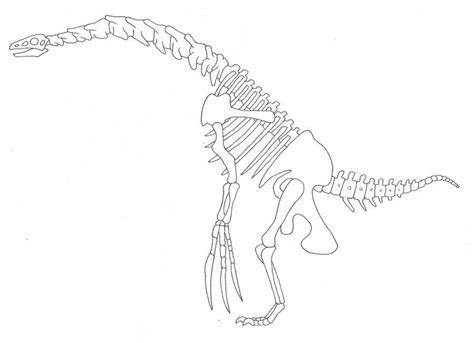 Therizinosaurus skeleton | Dinosaur skeleton, Skeleton, Dinosaur