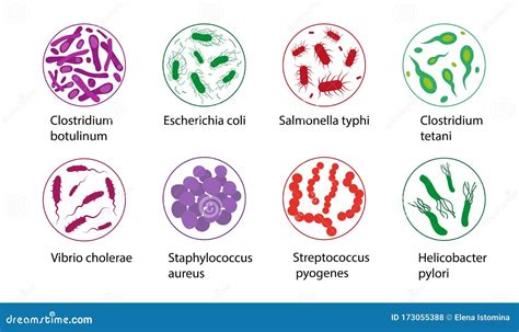 Bad Bacteria Set Isolated on White Background. Stock Vector - Illustration of medicine ...