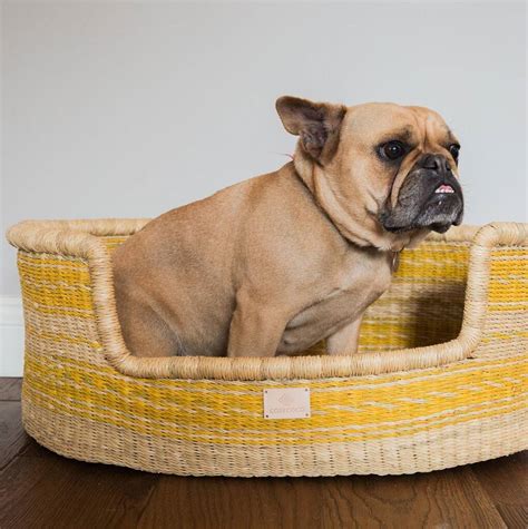 Yellow Handwoven Dog Basket Bed By Cosy Coco | notonthehighstreet.com