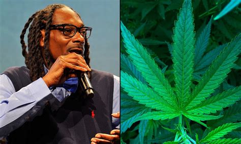 Snoop Dogg Says Sports Leagues Should Let Athletes Use Marijuana ...