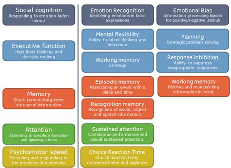 What Is Cognition & Cognitive Behaviour - Cambridge Cognition ...