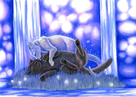 Graystripe and silverstream - Warrior Cats Forever Photo (30386333) - Fanpop