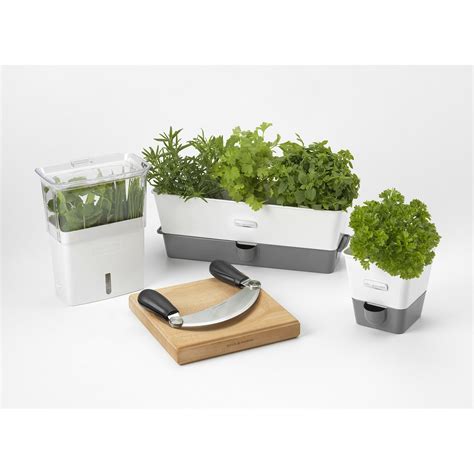 Cole & Mason Self-Watering Indoor Herb Garden Planter & Reviews ...