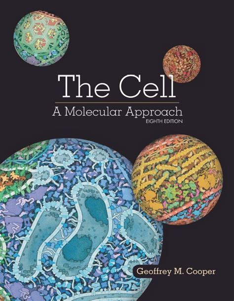 The Cell A Molecular Approach 8th 8E Geoffrey Cooper PDF eBook | Cell biology, Teaching cells ...