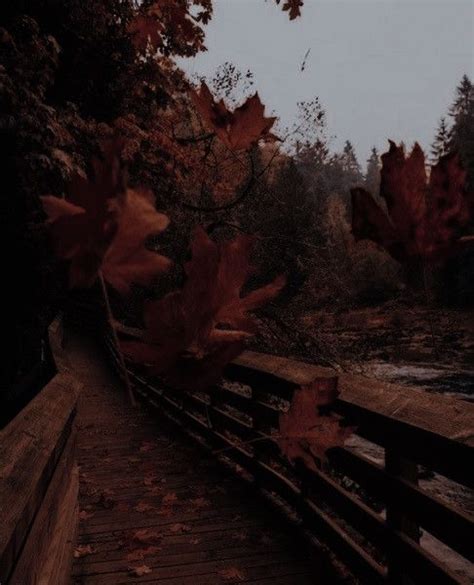 𓄲 𝗶𝘁𝘀𝗮𝗰𝘁𝘂𝗮𝗹𝗹𝘆𝗱𝗲𝗮𝗻 𓄹𓈒 | Dark autumn, Scenery, Nature aesthetic