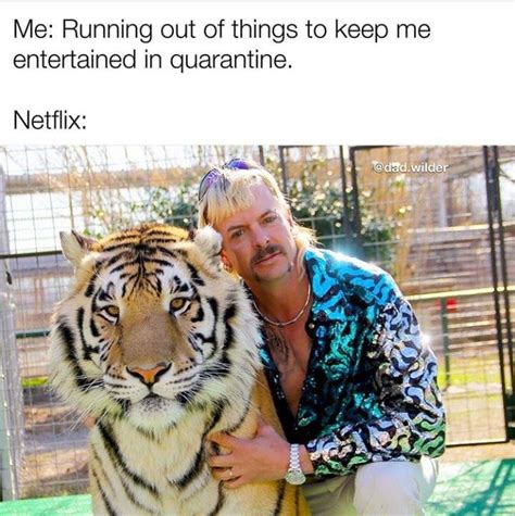 Tiger King memes: 41 of the craziest reactions to the Joe Exotic ...