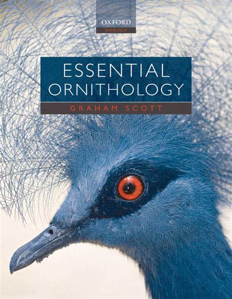 Essential Ornithology | VetBooks