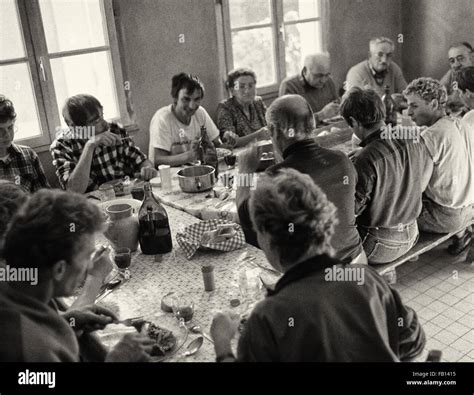 Grape pickers at lunch in the Loire area of France Stock Photo - Alamy