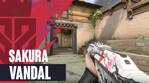 Sakura Vandal Skin Showcase [4K] - Valorant Sakura Skins - YouTube