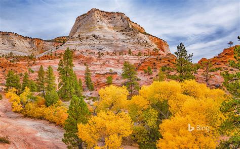 Fall colors in Zion National Park, Utah - WindowsCenter.nl