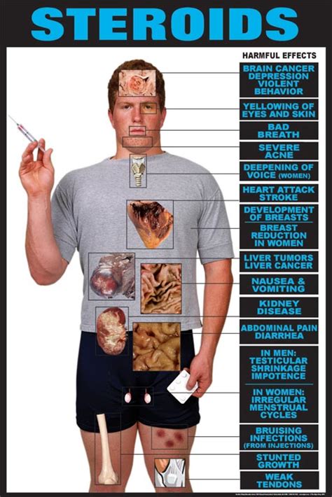 Contemporary Health Issues: Controversy of using Anabolic Steroids in ...