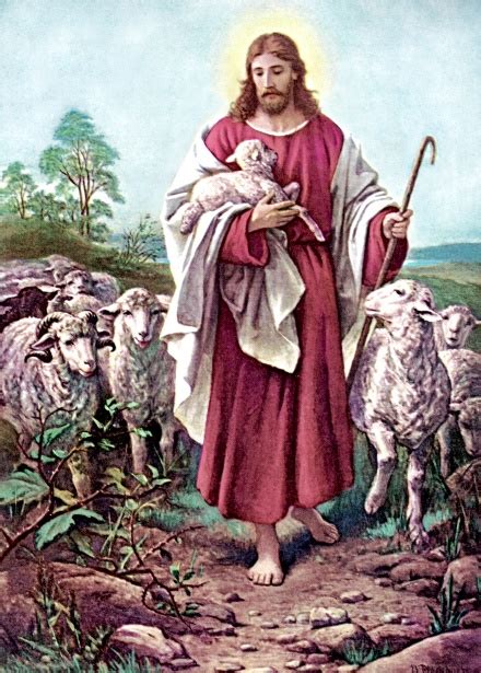 Jesus The Good Shepherd Free Stock Photo - Public Domain Pictures