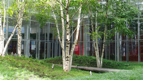 New York Times Building Lobby Garden | TCLF