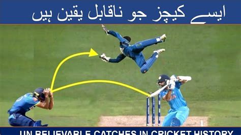 Best cricket catches 2019 | top ten catches in cricket | History hd, Cricket videos, Ten