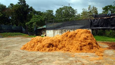 How to Start Your Own Coir Compost - Coir.com