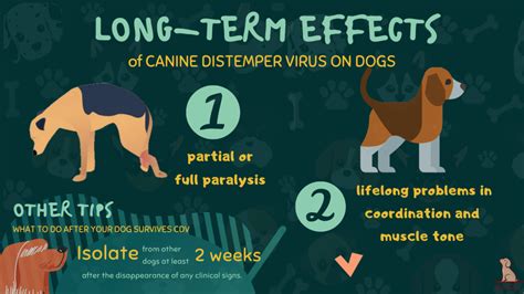 All The Things You Must Know About Distemper In Dogs | Bark For More