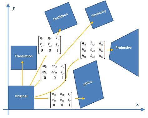 Different types of geometric transformations on an input image (original). | Download Scientific ...