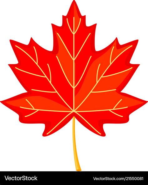 Colorful cartoon red maple leaf Royalty Free Vector Image