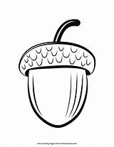 Printable Acorn Coloring Pages sketch template