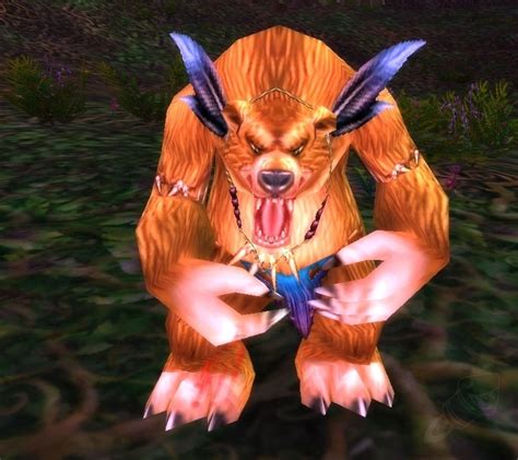 Gnarlpine Ambusher - NPC - WotLK Classic