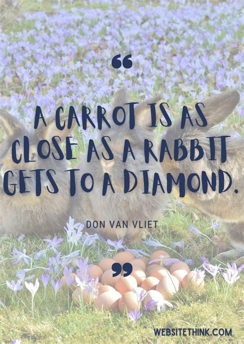 73+ Cute & Cuddly Quotes About Rabbits! 🥇[+ Images!]