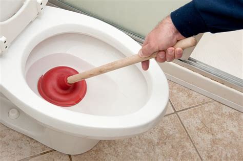 Information and Details on Common Plunger Types - Expert Services