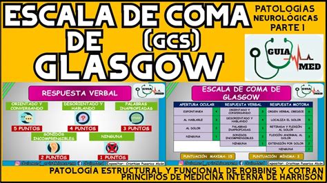 Escala De Glasgow Explicada - gudangmapa